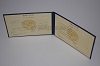 Стоимость диплома техникума УзбекАССР 1975-1991 г. в Александровске-Сахалинском (Сахалинская Область)
